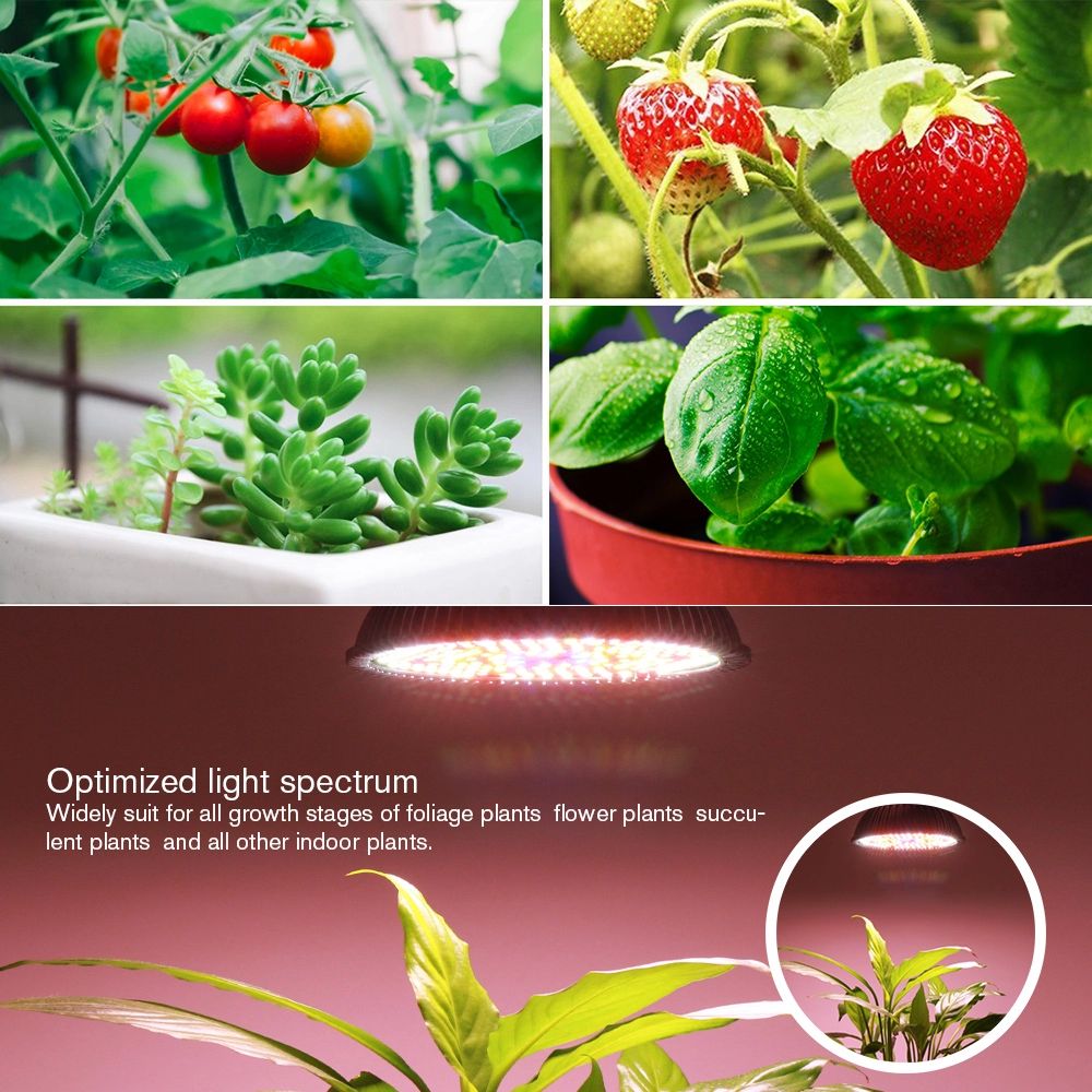 Oświetlenie LED do roślin