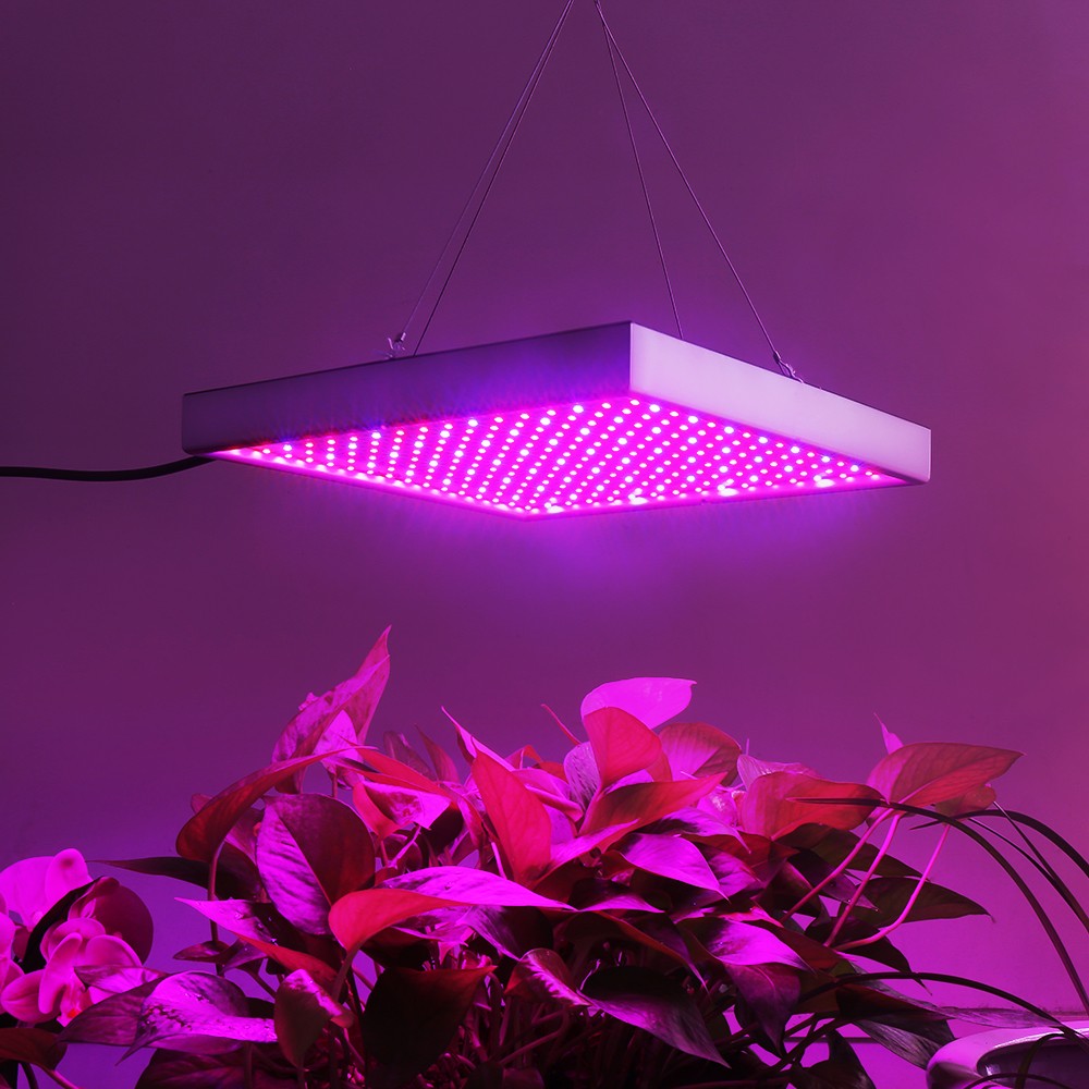 W jaki sposób korzystać z oświetlenia roślin Grow LED .