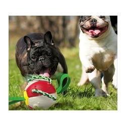 Zabawka dla psa frisbee piłka latająca dysk gryzak