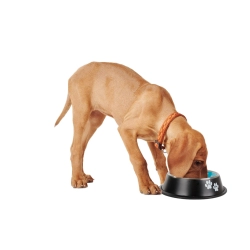 Miska dla psa metalowa antypoślizgowa guma 150ml