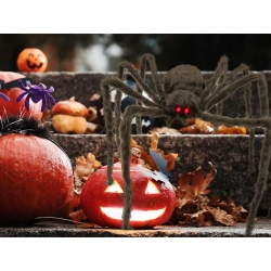 Pająk halloween olbrzym gigant tarantula dekoracja