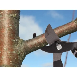 Sekator nożyce ogrodowe ręczne do gałęzi krzewów długie kowadełkowy