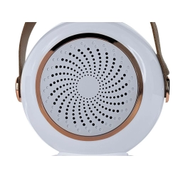 Bezprzewodowy przenośny zestaw do karaoke głośnik bluetooth + 2x mikrofon