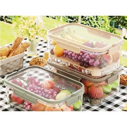 Pojemniki na żywność przechowywania w niskiej temperaturze chłodzący wkład