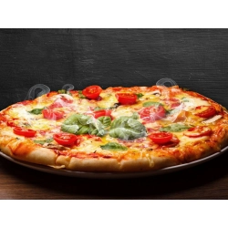 Elektryczny piec do pizzy 1000w nieprzywierająca powłoka szybkie pieczenie