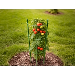 Podpora pierścieniowa do roślin 90cm obręcz do kwiatów 3 pierścienie divodv