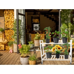 Kwietnik drewniany na kwiaty doniczkowe dwupoziomowy półka na kółkach taras