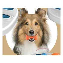 Zabawka dla psa edukacyjna logiczna gra na przysmaki gryzak węchowa