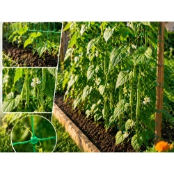 Siatka ogrodowa do roślin pnących 2x10m podpora na pnącza ogórki mocna