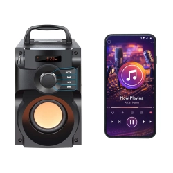 Głośnik bezprzewodowy Bluetooth przenośny radio mobilny z pilotem i wyświetlaczem A11