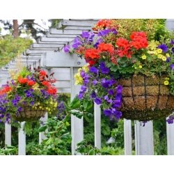 Wieszak do donicy hak do zawieszania roślin wysuwany regulowany uchwyt