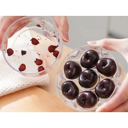 Drylownica do wiśni czereśni oliwek z pojemnikiem wyciskacz pestek ręczna