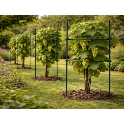 Tyczka podpora do roślin trójkątna 90 cm stabilna ogród działka divodv