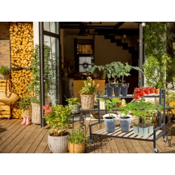 Kwietnik drewniany na kwiaty doniczkowe dwupoziomowy półka na kółkach taras