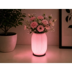 Lampka stołowa z wazonem na kwiaty 2 w 1 LED RGB z pilotem