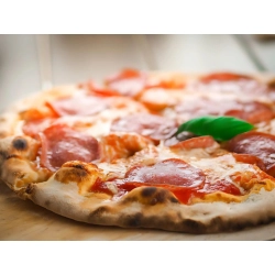 Elektryczny piec do pizzy 1000w nieprzywierająca powłoka szybkie pieczenie