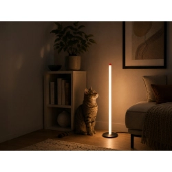 Lampka stojąca podłogowa LED 100 cm 3 barwy nowoczesna regulacja jasności
