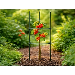 Tyczka podpora do roślin trójkątna 90 cm stabilna ogród działka divodv