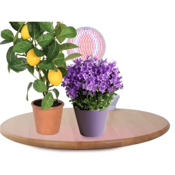 Lampa panel 200 led do uprawy roślin 20w wzrostu