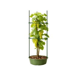Tyczka podpora do roślin trójkątna 120 cm stabilna ogród działka DIVODV