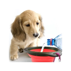 Miska składana silikonowa dla psa kota podróżna turystyczna lekka 800ml