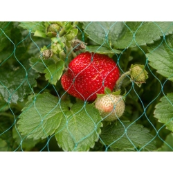 Siatka na ptaki ochronna przeciw ptakom 2x10m na ogród drzewa owoce mocna