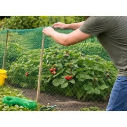 Siatka na ptaki ochronna przeciw ptakom 2x5m na ogród drzewa owoce mocna