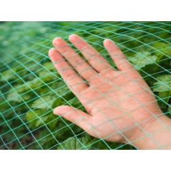 Siatka na ptaki ochronna przeciw ptakom 2x5m na ogród drzewa owoce mocna