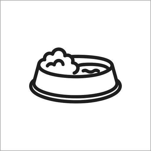 Miski i poidła dla psów