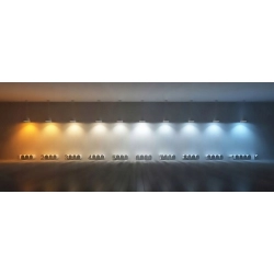 Żarówki ledowe retro Edison LED E27 Filament Vita ST14 2700K 2W