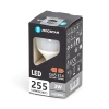 Żarówka diodowa kulka LED G45 E14 3W 6500K