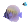 Fluorescencyjne ryby morskie Fluorescencyjne ryby morskie