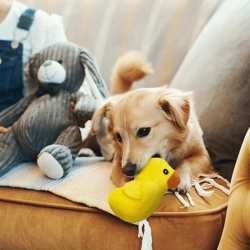 Pluszowa dźwiękowa zabawka dla psa - kaczka