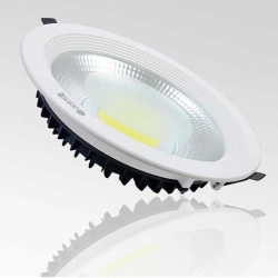 Oczko, panel, plafon diodowy led 30W zimny lub ciepły fi220