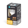 Żarówka LED G45 E14 3W 255lm ciepła do salonu energooszczędna