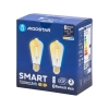 Zestaw 2 inteligentnych żarówek Bluetooth Mesh ST64 6W CCT Aigostar energooszczędny