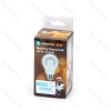 LED Filament bulb Dimmable A60 E27 6W 6500K Clear Color box