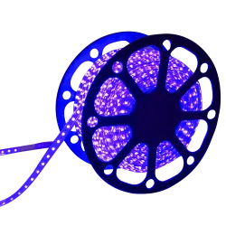 Taśma LED 230V 50m 10mm niebieska Aigostar do efektownego oświetlenia