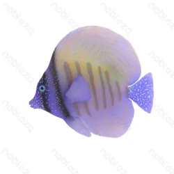 Fluorescencyjne ryby morskie Nobleza model 273228749 do efektownych dekoracji akwariowych