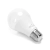 Żarówka LED A60 E27 13W 6500K 1 szt. blister — zdjęcie 3