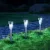 Lampa solarna do trawnika 6 sztuk stal nierdzewna klosz fasola zimne światło 6500K