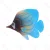 Fluorescencyjne ryby morskie Nobleza model 273228749 do efektownych dekoracji akwariowych