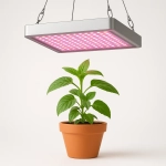 Lampy grow led Lampy grow led
