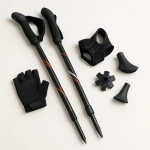 Nordic walking