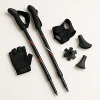 Nordic walking Nordic walking