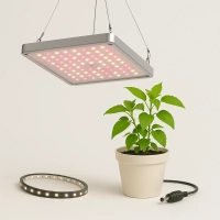 Oświetlenie grow led do roślin Oświetlenie grow led do roślin