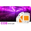 Dioda COB 20W grow zasilanie 230V+ pasta W-wa