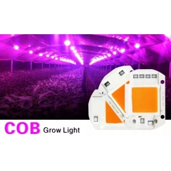 Dioda COB 20W grow zasilanie 230V+ pasta W-wa