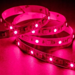 Taśma LED 5050 RGB+NW 5m 300 led IP20 75W 12V