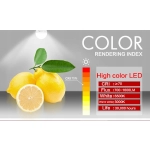 Świetlówki i oprawy Led